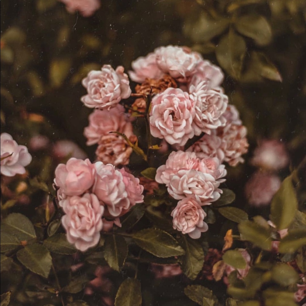 Meet your Posher, Kendalynn